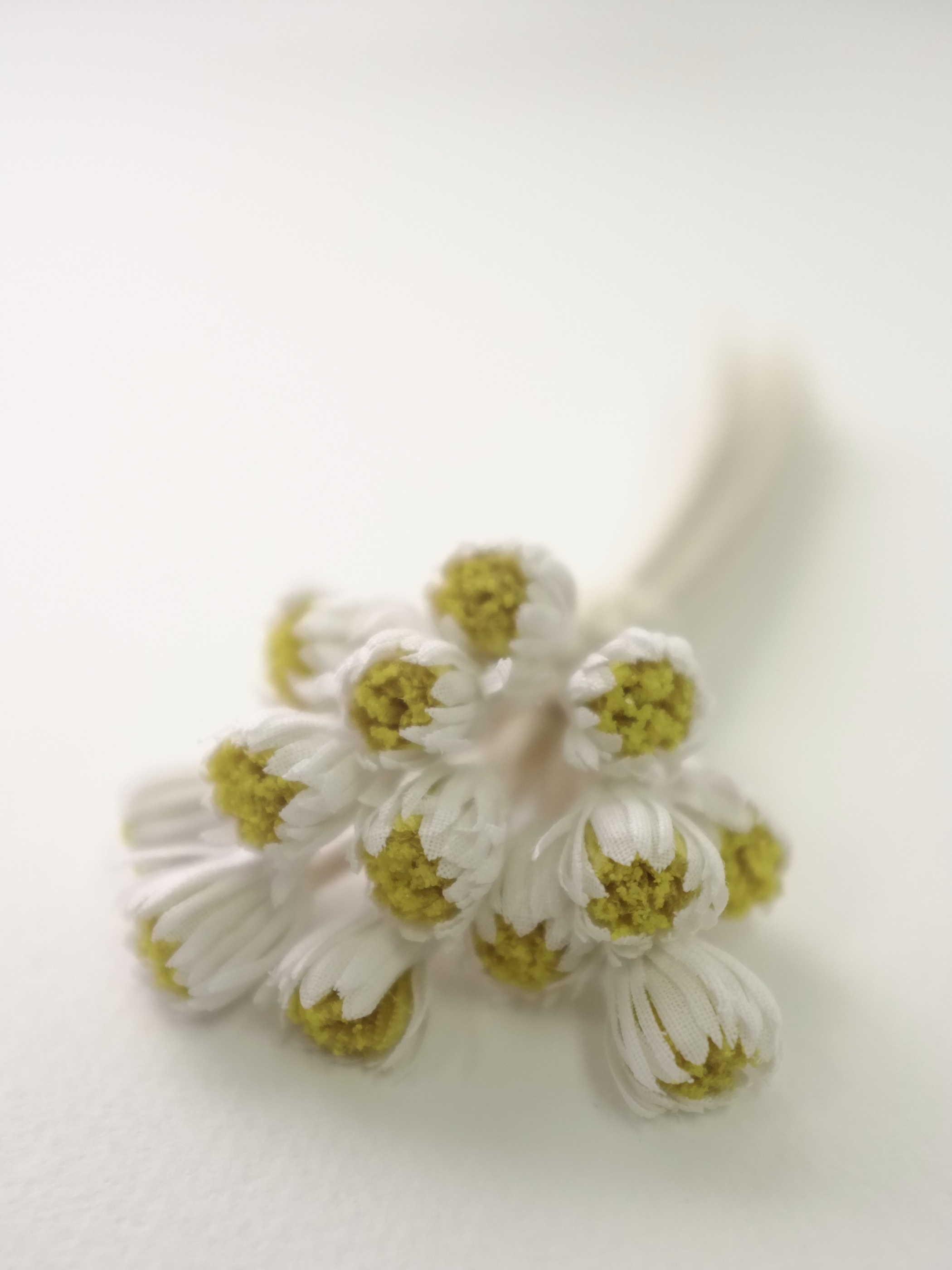 【SOLD OUT】daisy bouquet - col. off white