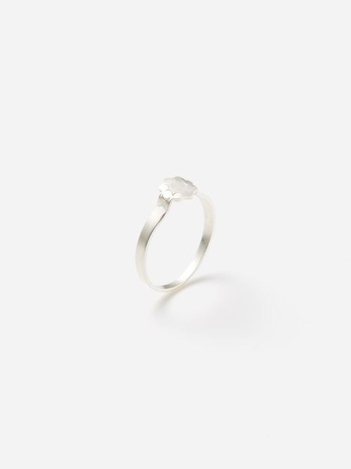 20250626 gallery+deux+poissons5798