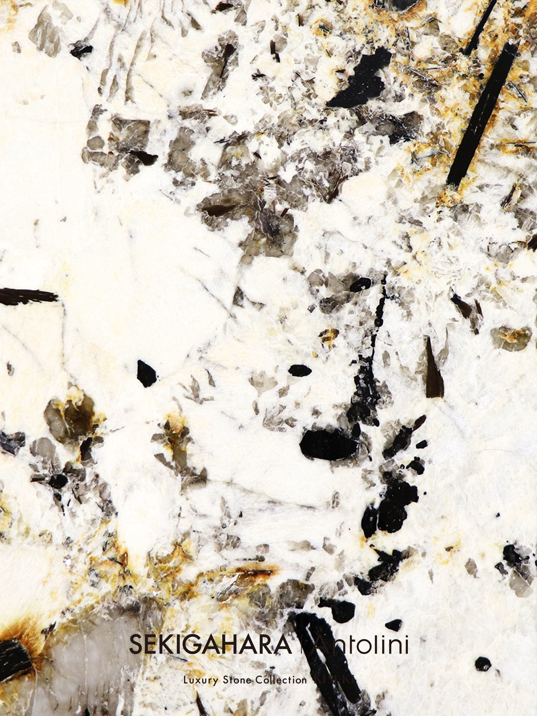 ISHIZO | パタゴニア A4 001