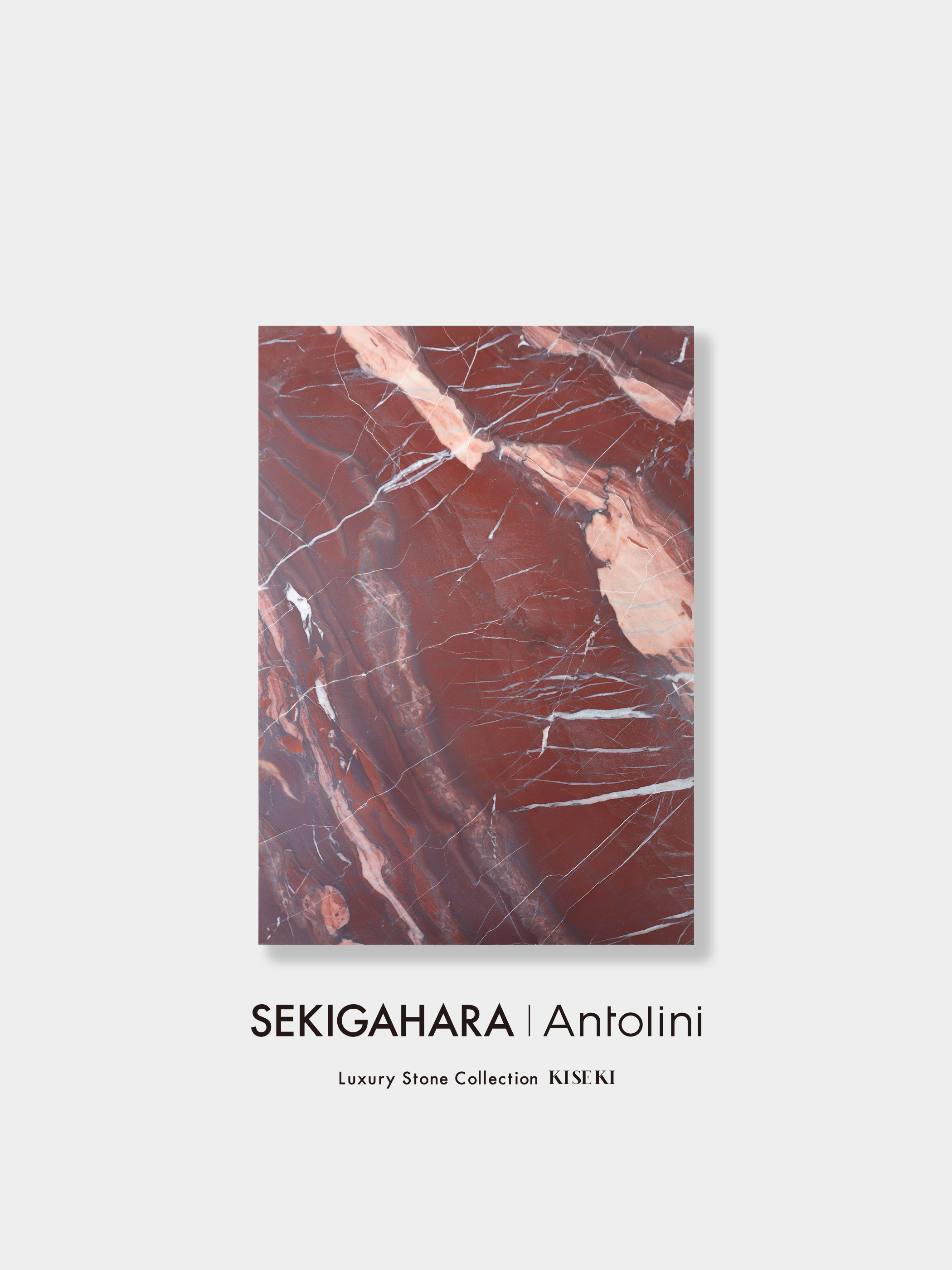 ルージュデサボア A4 001