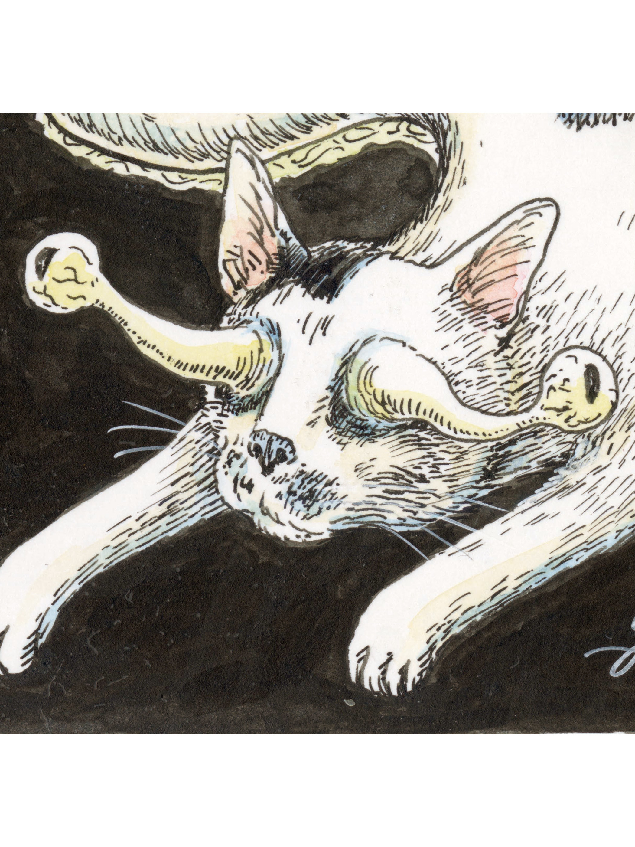 石黒亜矢子個人専門店 月光蔵 | なめくじよん（伊藤潤二作品）