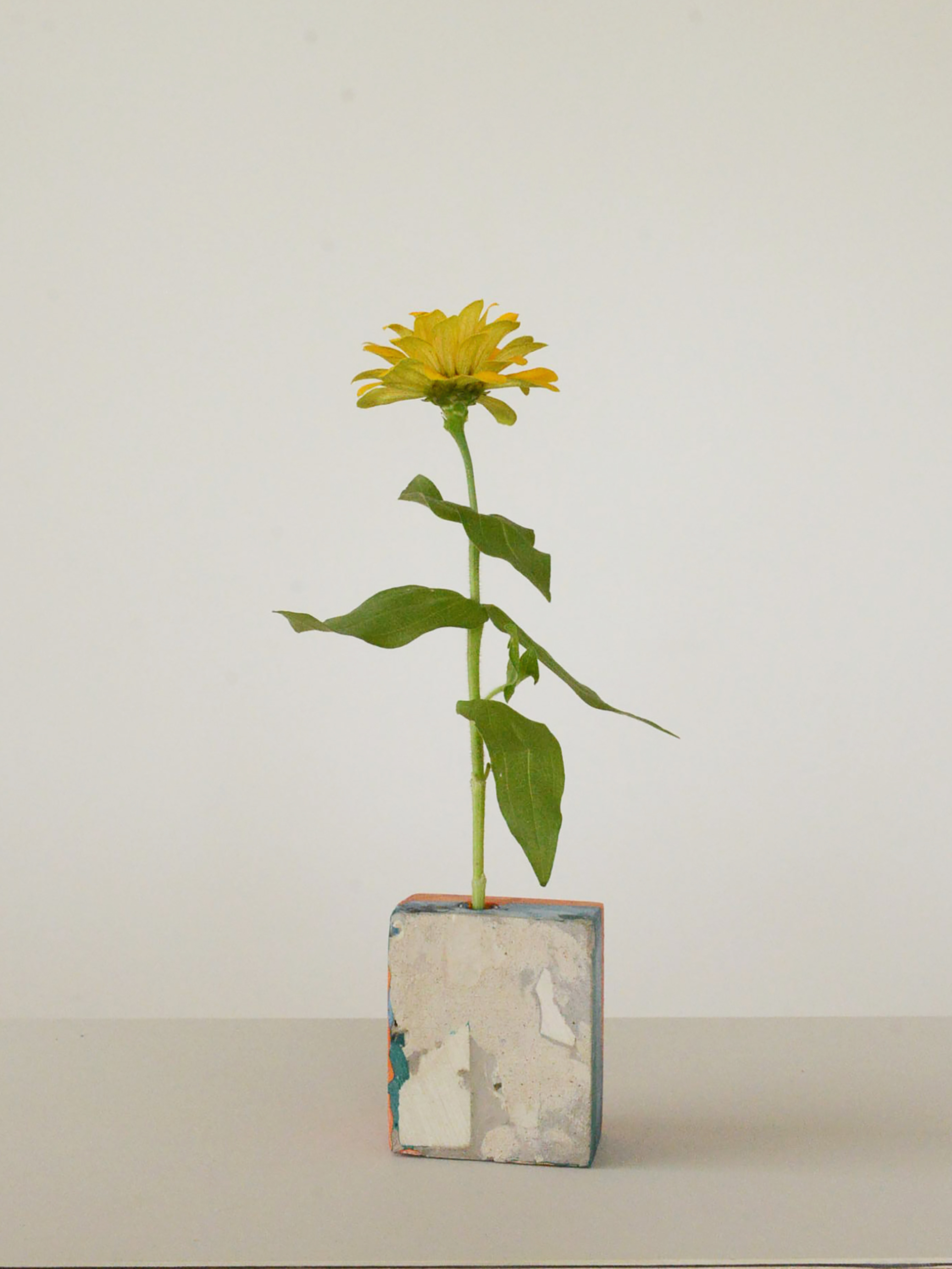 MINE ORE / 一輪挿し O2