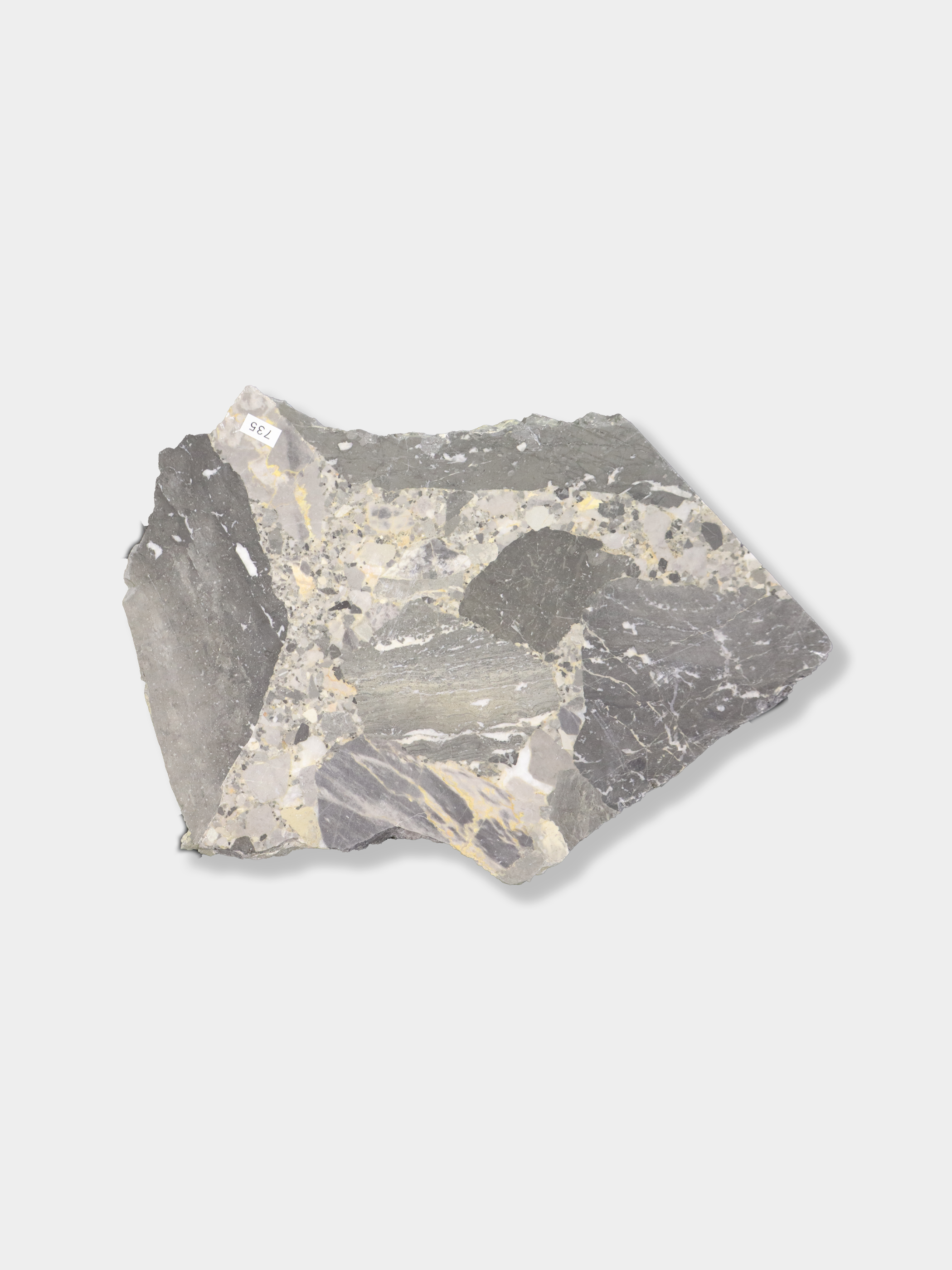 チェッポグレイ L