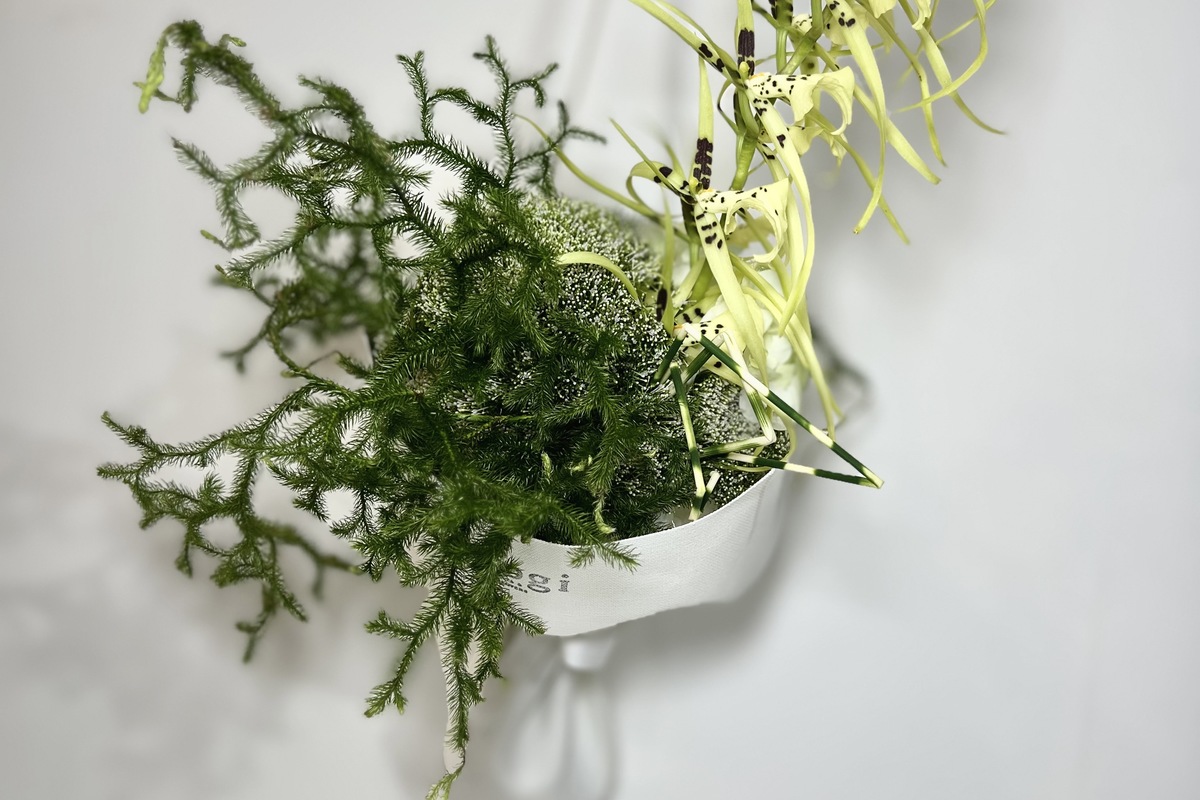 logi plants and flowers | ITEM LIST