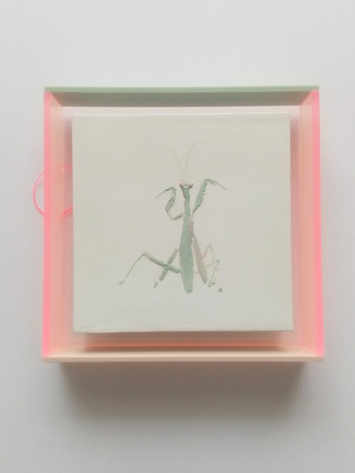 カマキリ　日本画 - matsuoikuko