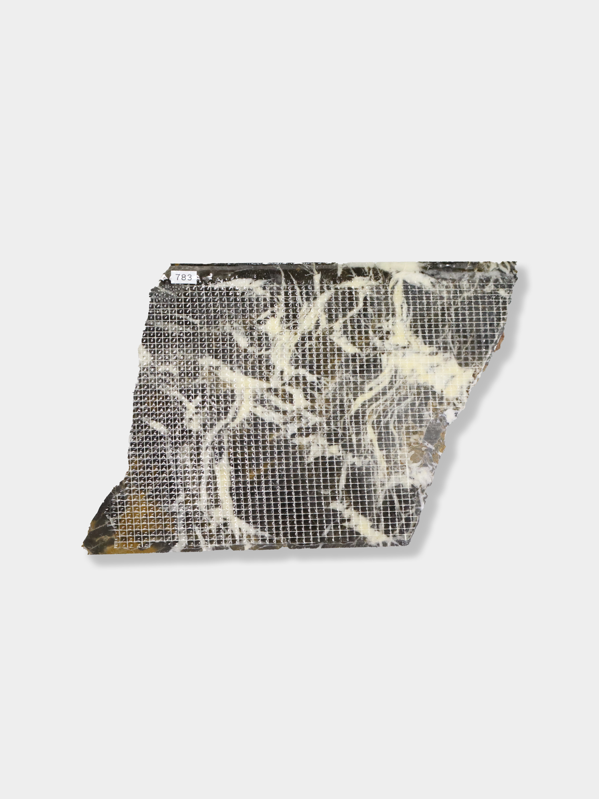 ポルトロロイヤル L