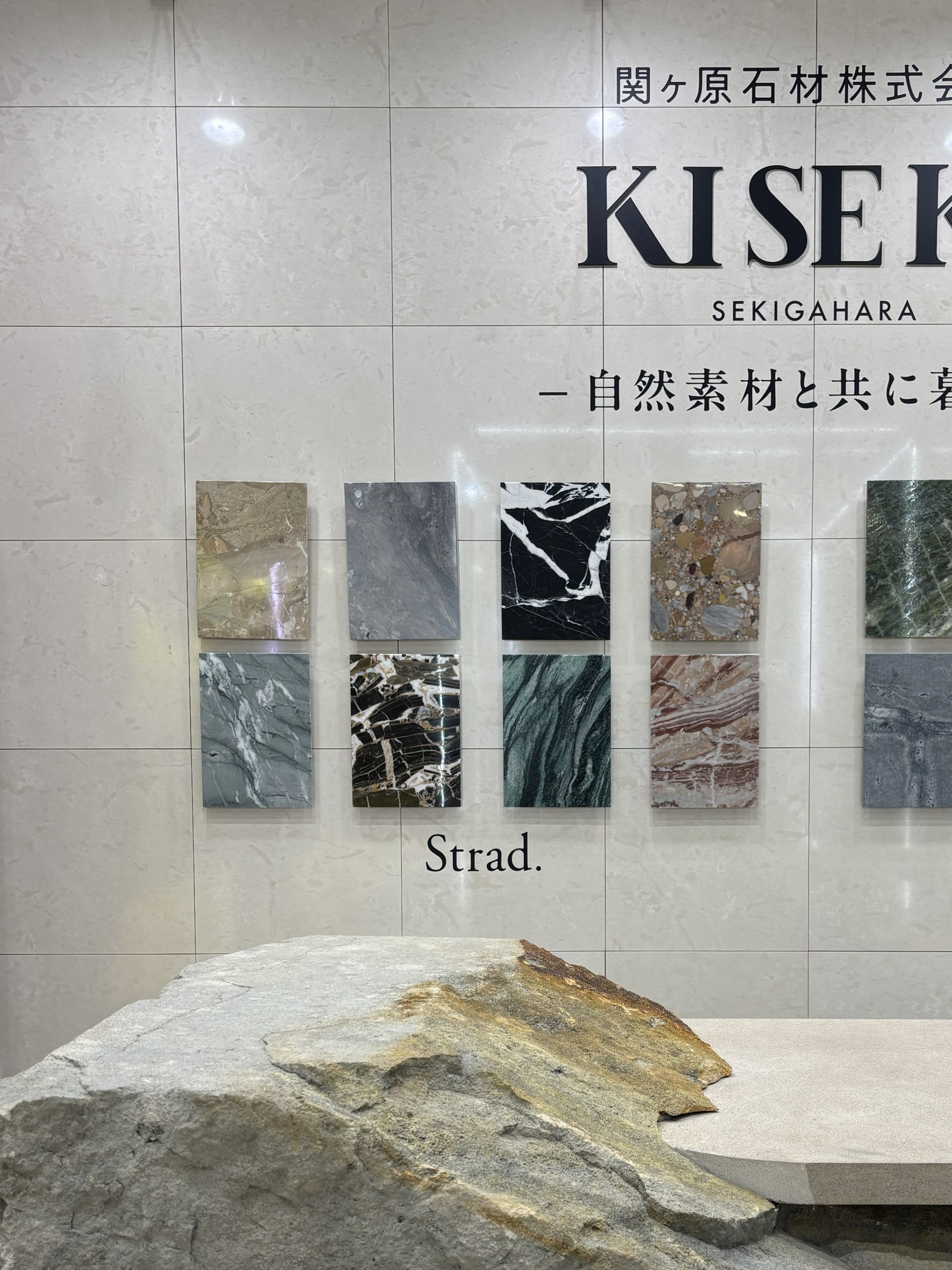 マウンテンバーニー A4 005