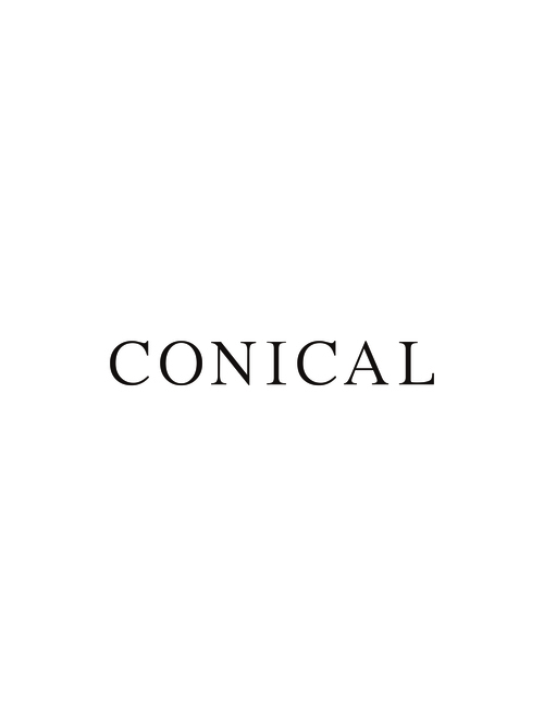 CONICAL / chiffon dress