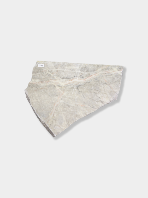 フィオールディペスコ L