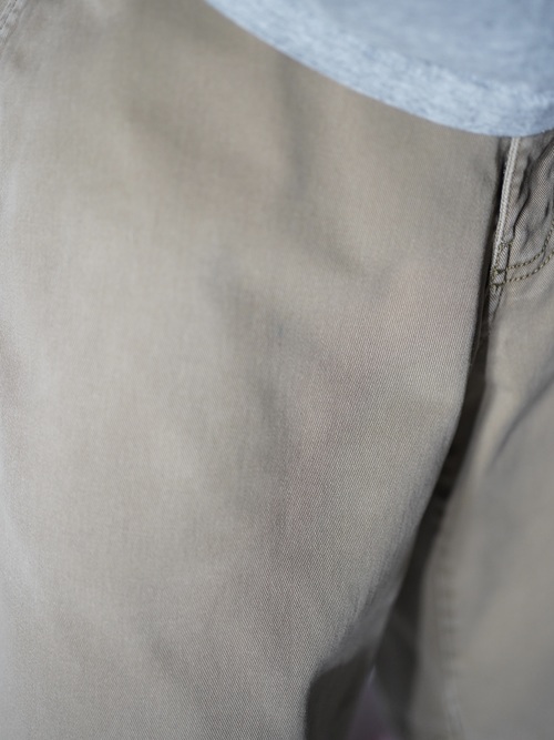 NIKE 6.0 Cotton Spandex chino cloth short pants