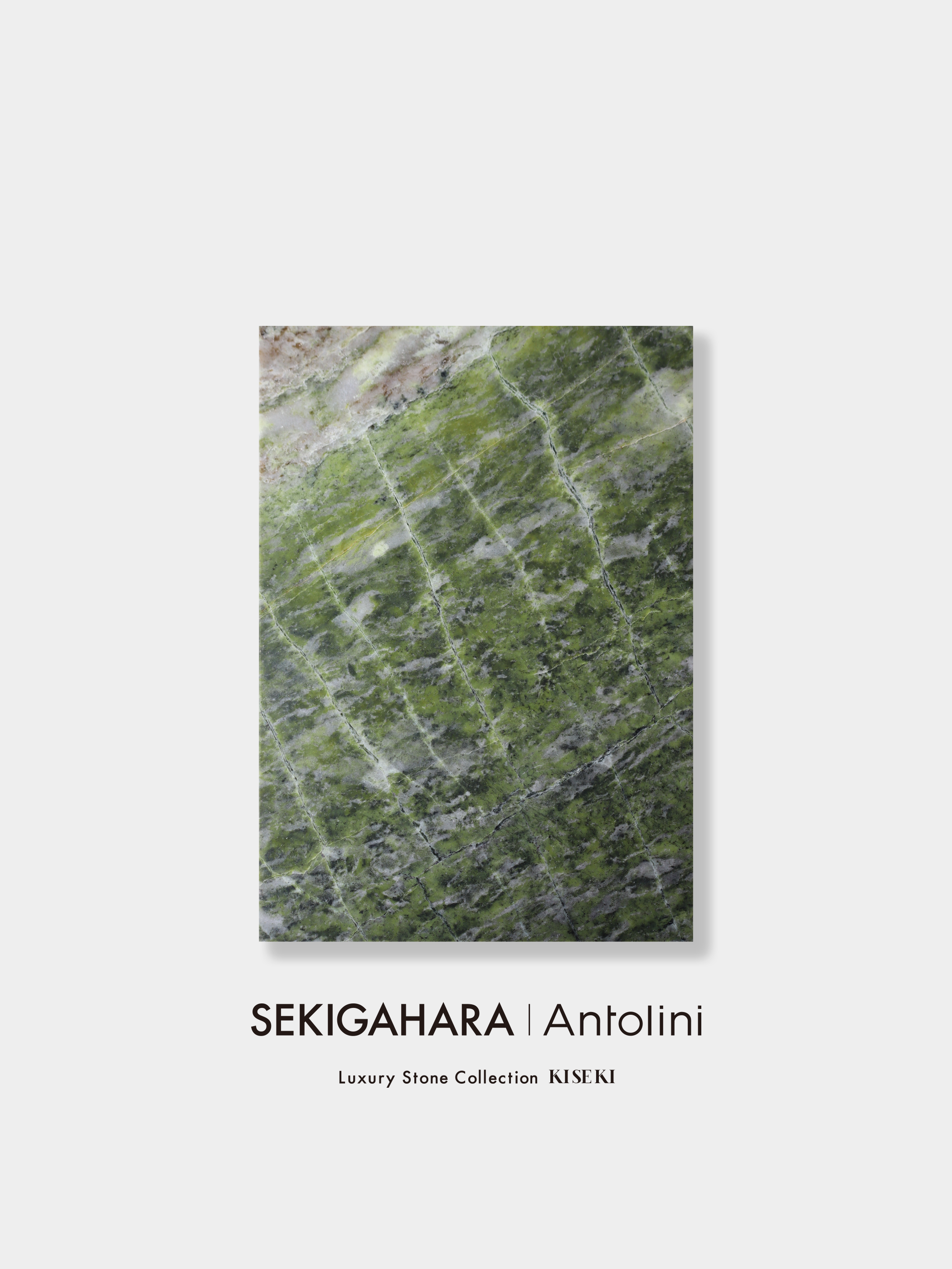 アイリッシュグリーン A4 003