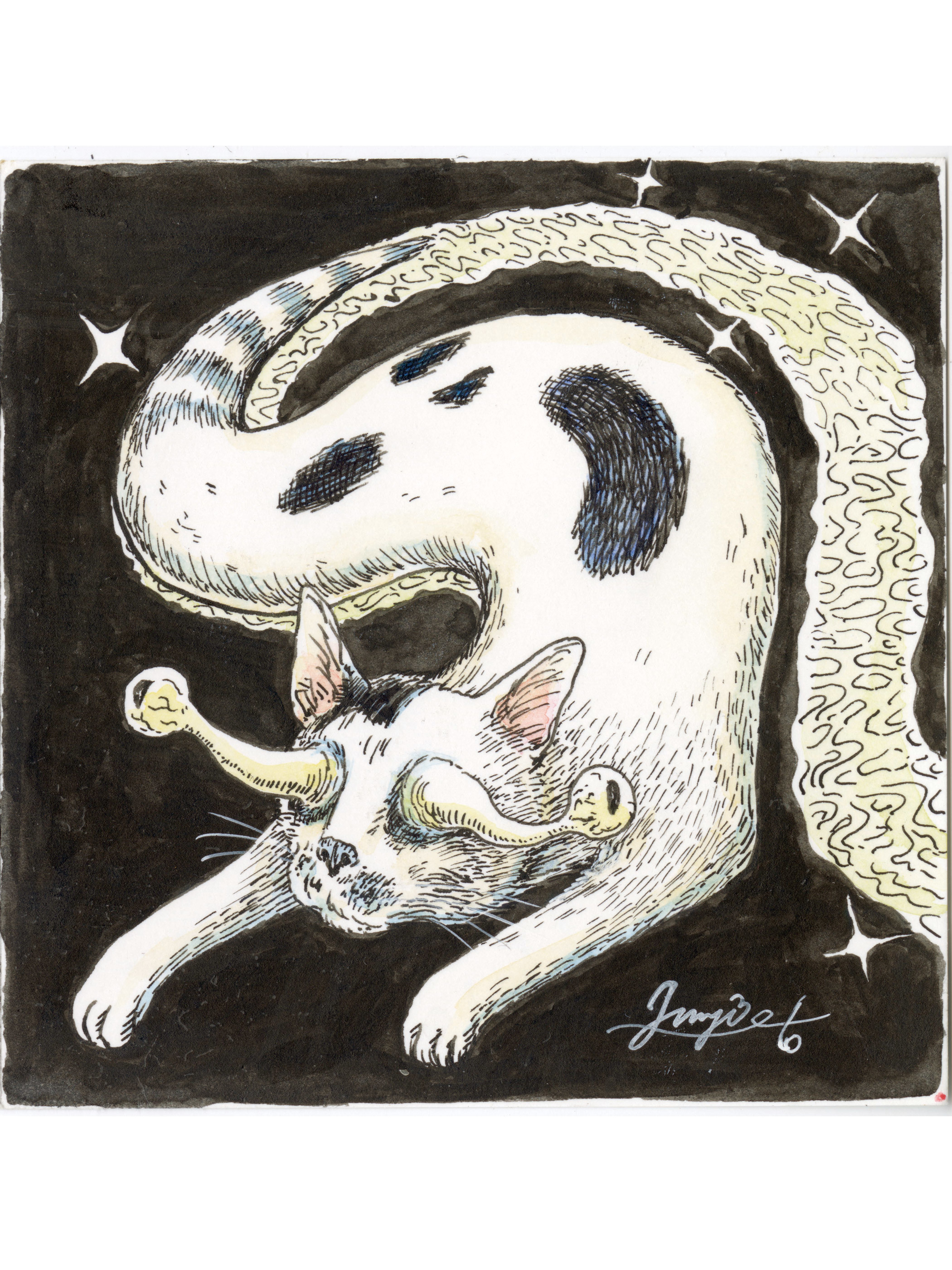 石黒亜矢子個人専門店 月光蔵 | なめくじよん（伊藤潤二作品）