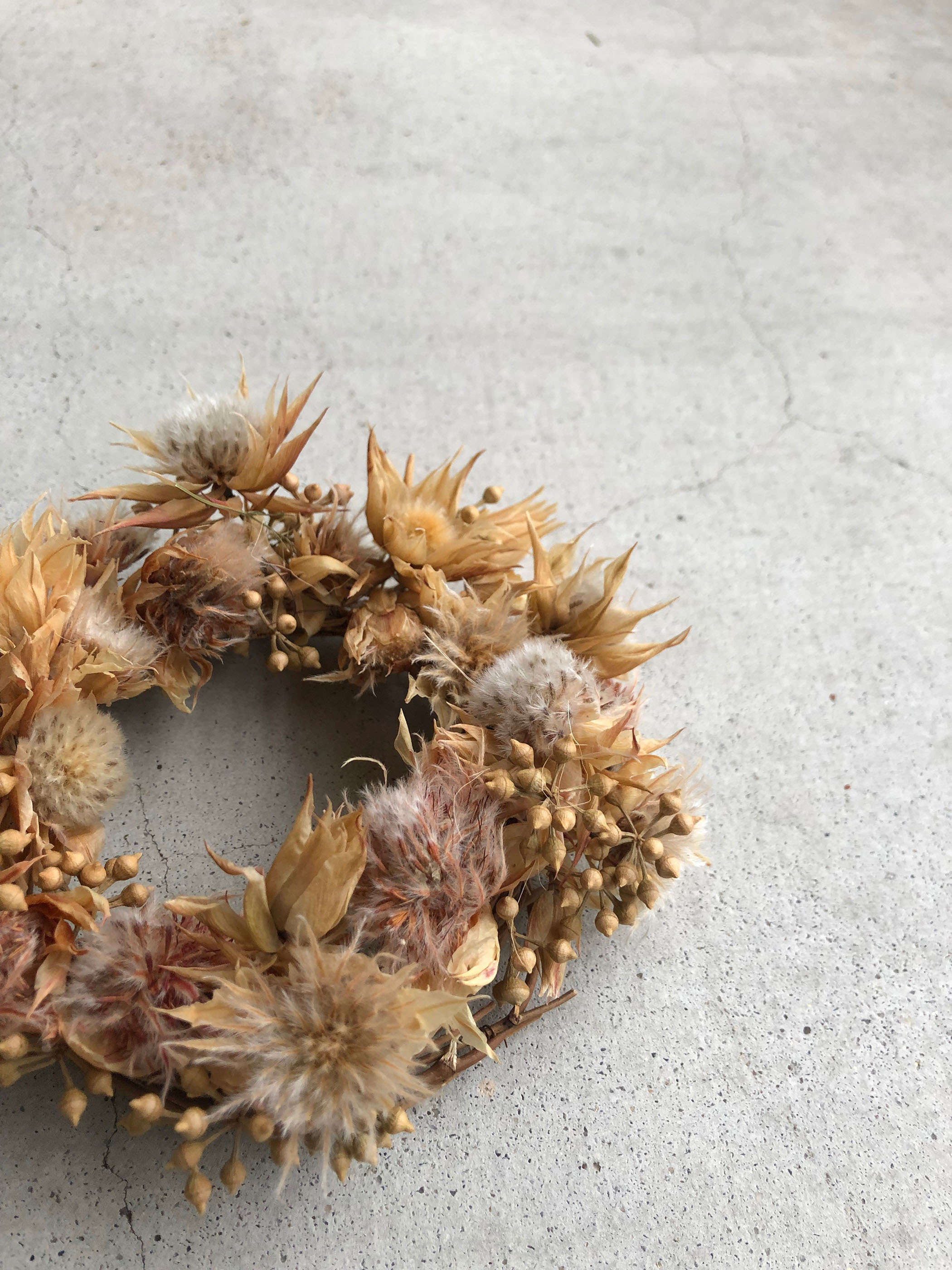 Nino Wreaths セルリアブラッシングブライトmini Nino Wreaths セルリアブラッシングブライトmini