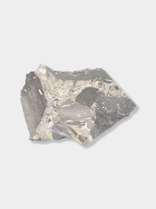 チェッポグレイ L