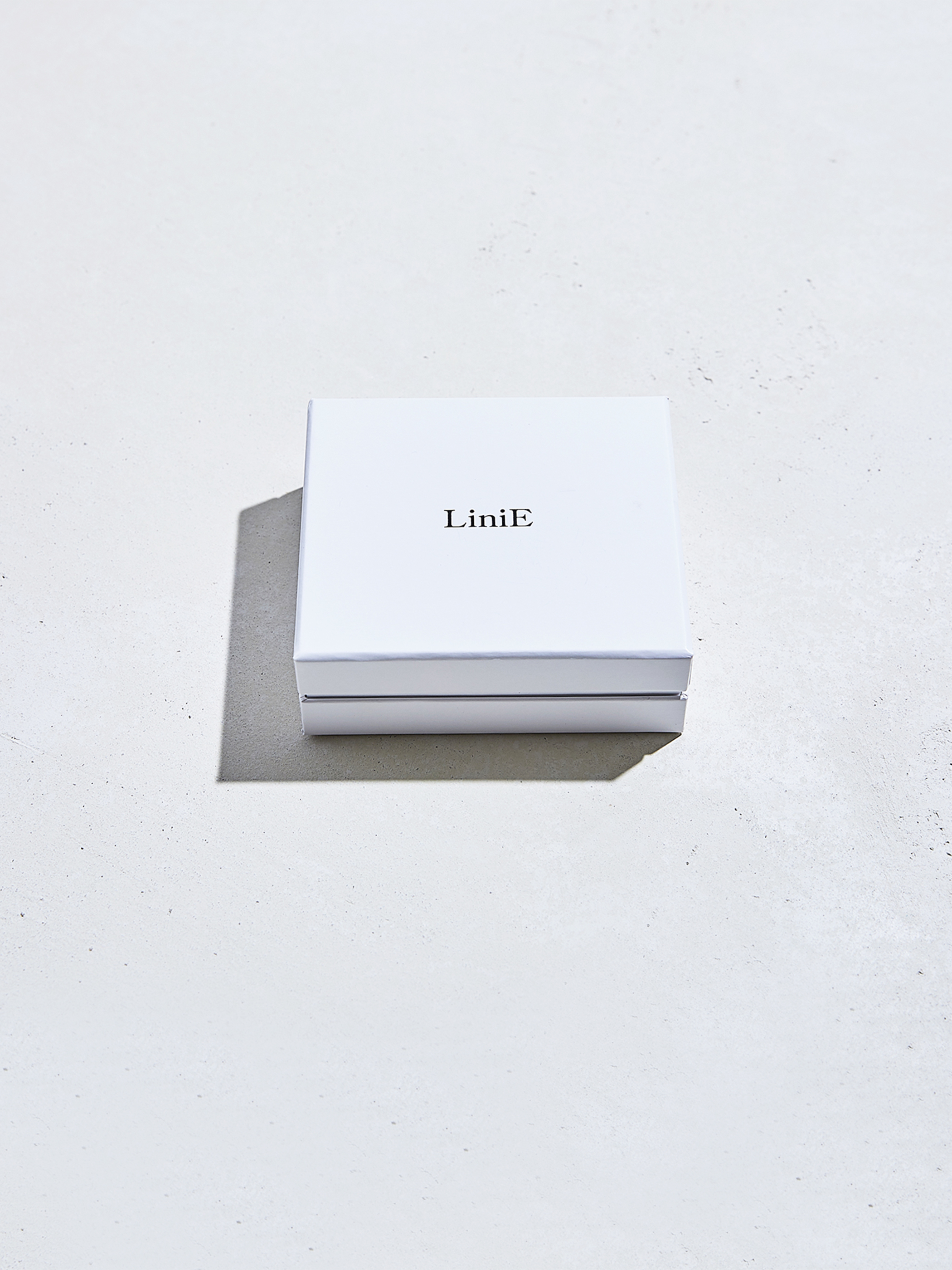 HOLIDAY COLLECTION 2025 ‘ THE QUIET LANDSCAPE ‘ _MOON