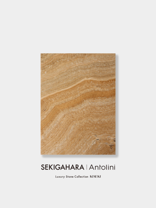 スタラティーテストリアータ A4 002