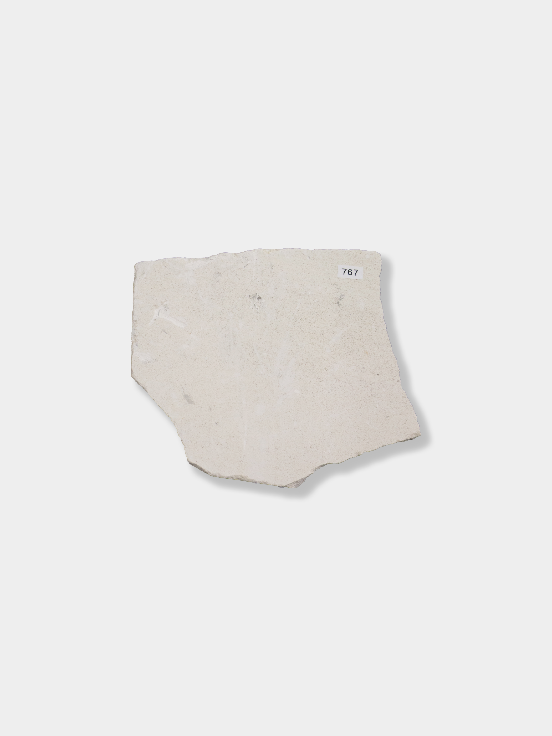 モカクリーム M