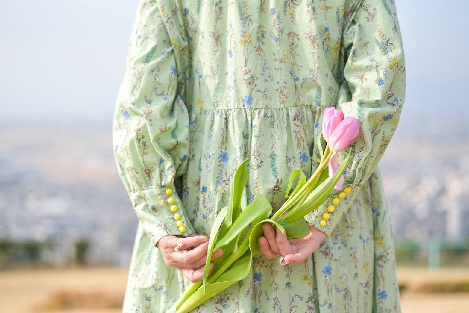 4f972b5f 3c80 4058 8c98 fe5e9a4ea925