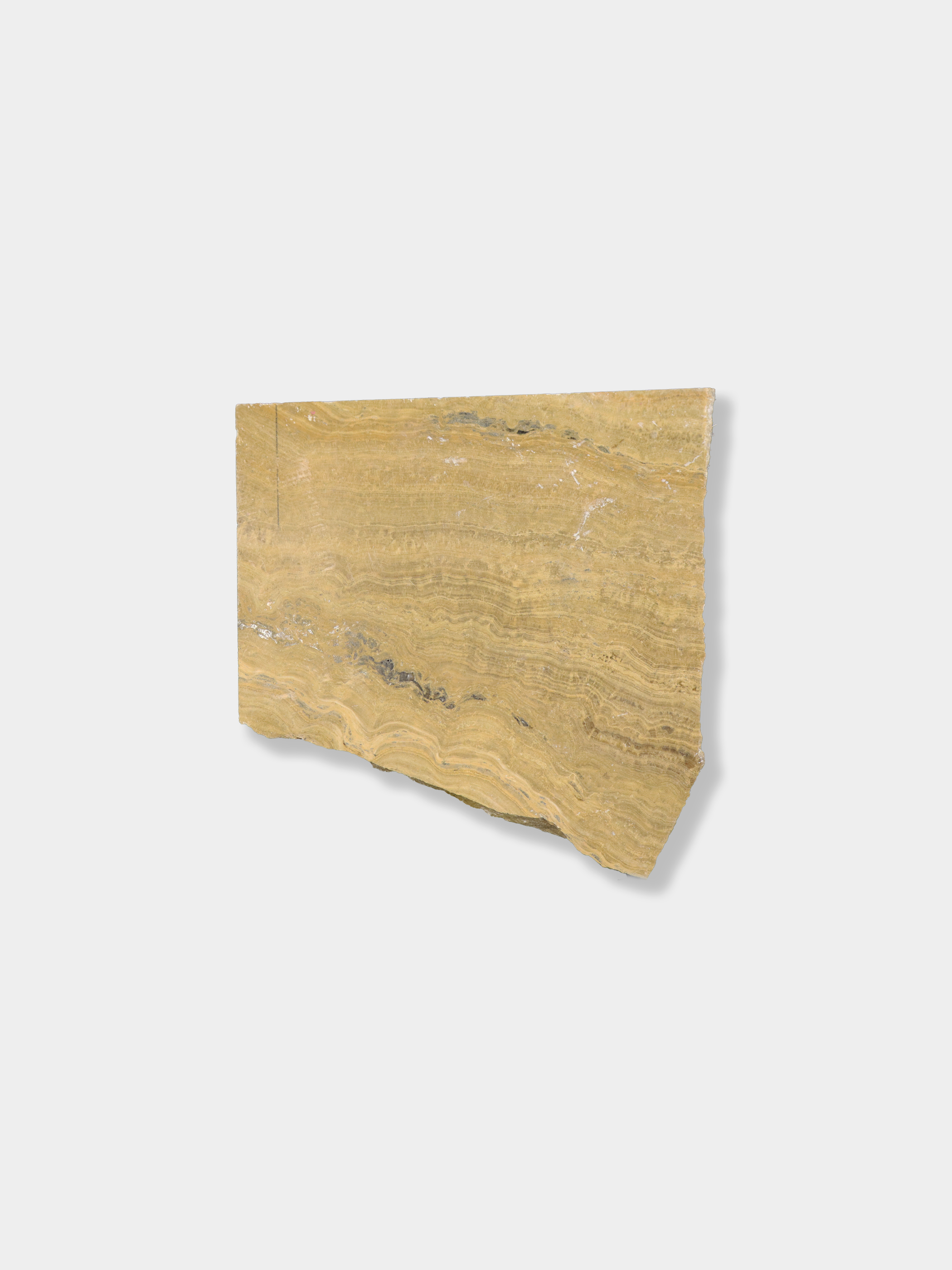 スタラティーテストリアータ L