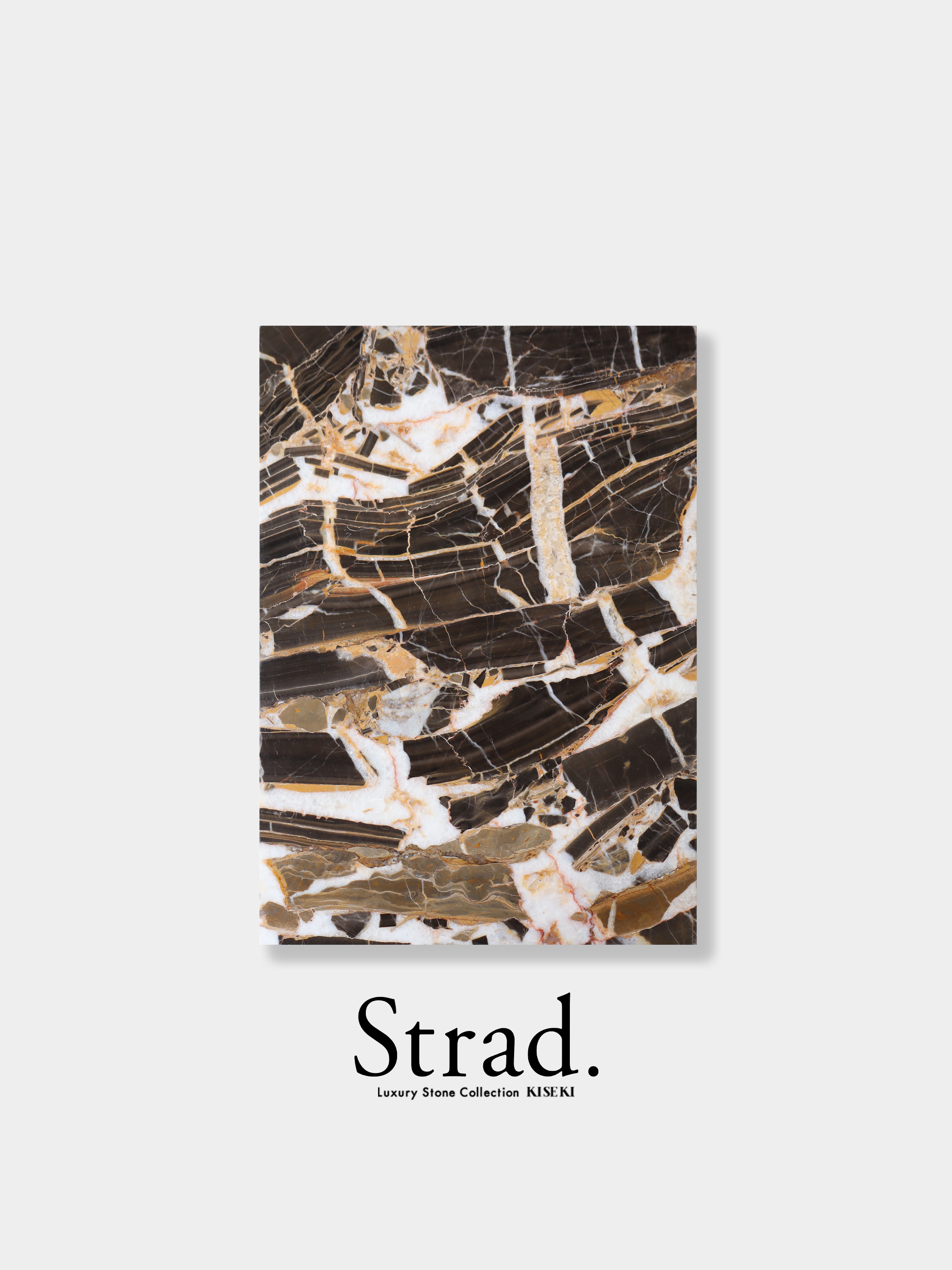 マウンテンバーニー A4 005