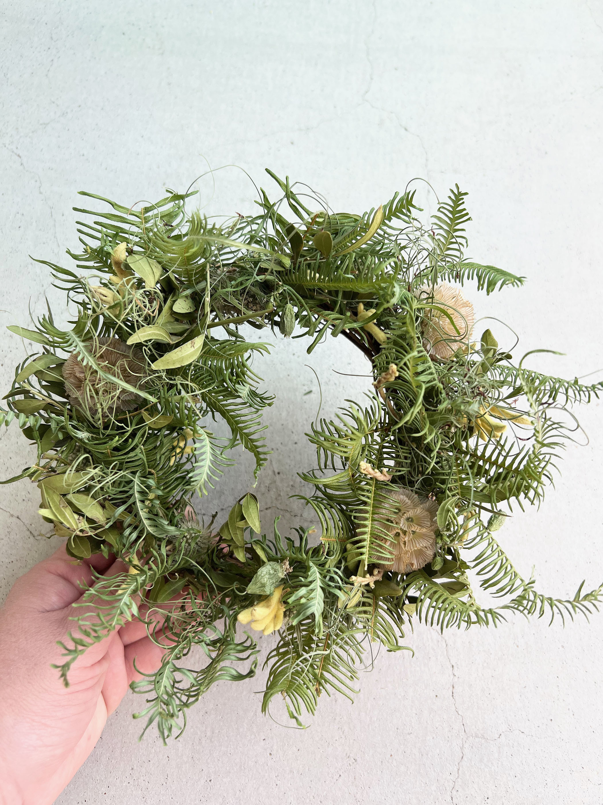 nino wreaths | アンブレラファン