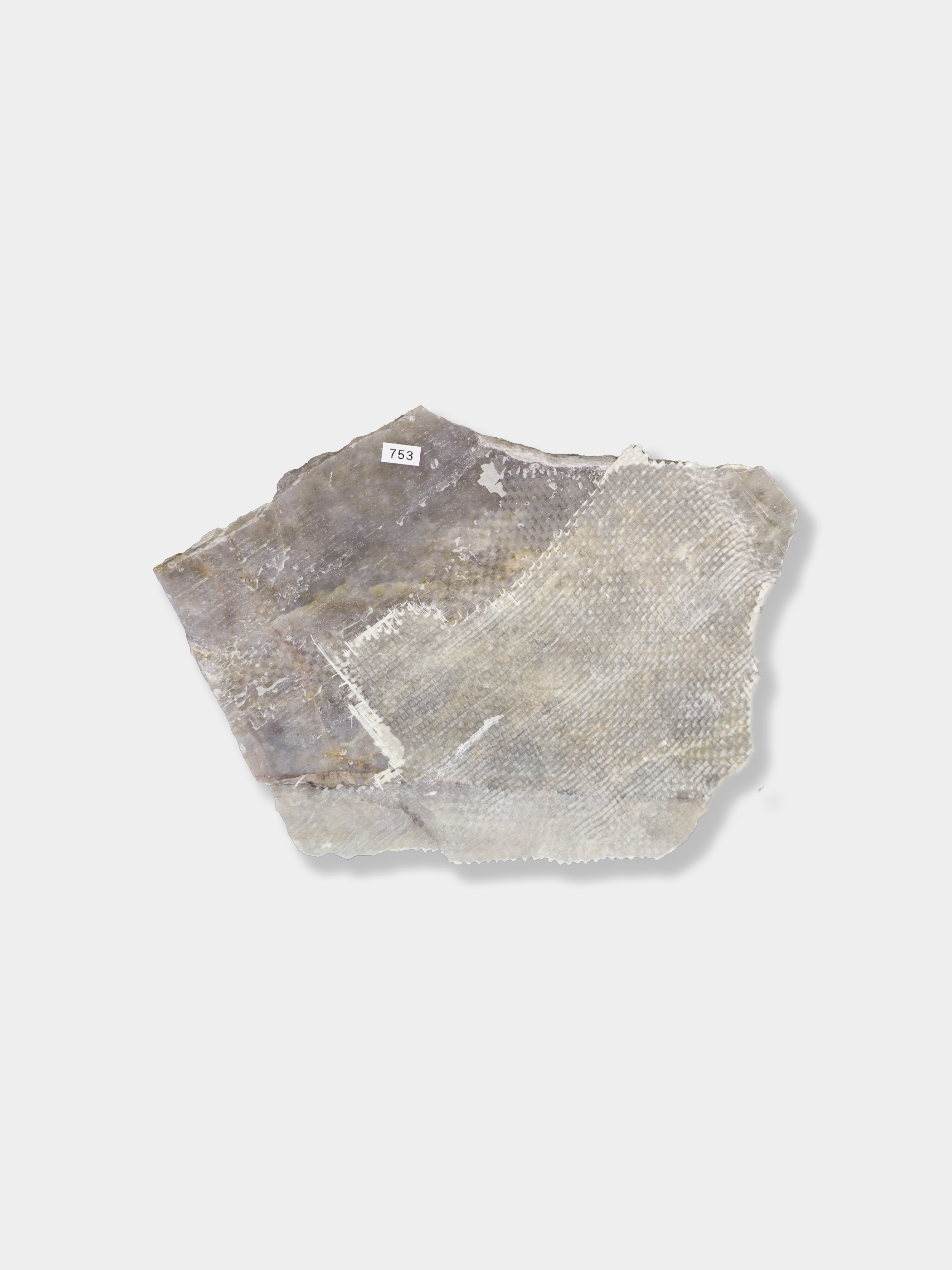 パタゴニアヴィオレ L