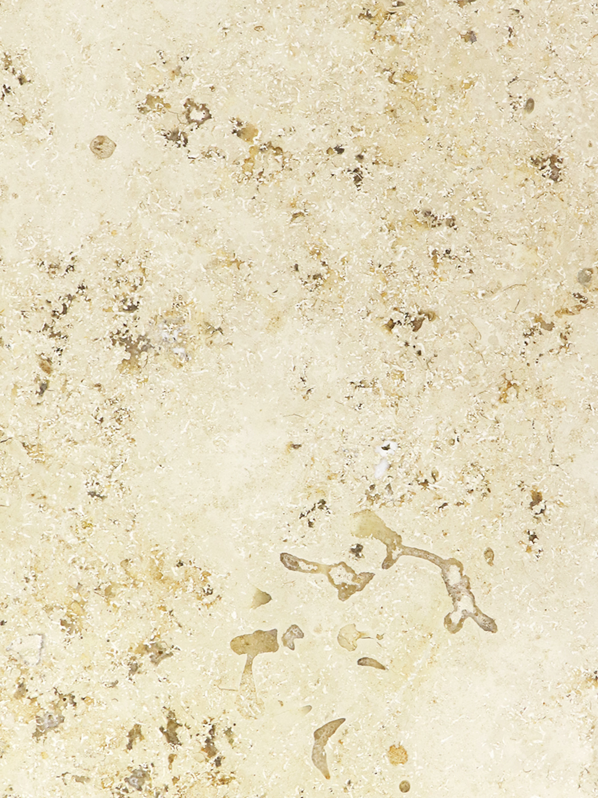 ISHIZO | ジュライエロー A4 002