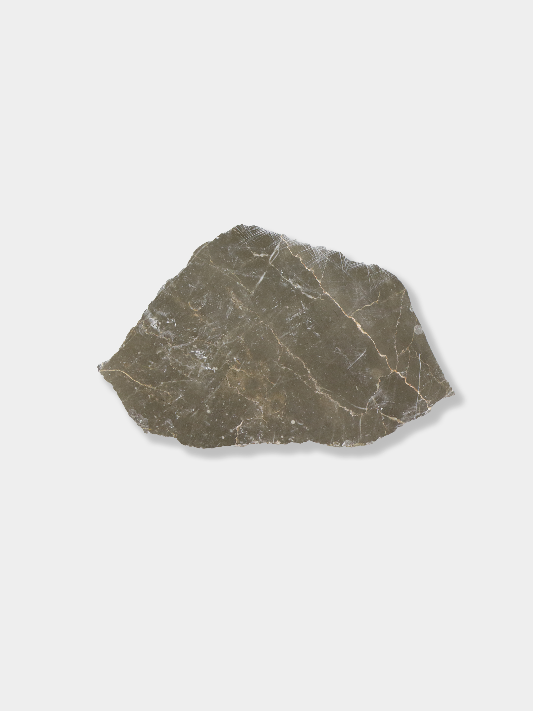 マナーズブラウン L